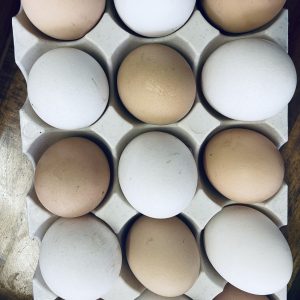 Organic free range eggs in reusable tray (15 units)